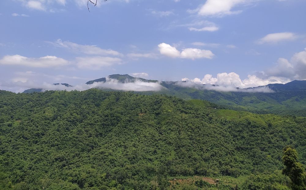 Forest covered mountains in Wokha district. With the effects of climate change being continuously felt, it has become imperative that efforts and investments are made to mitigate the consequences of environmental degradation. (Morung File Photo)